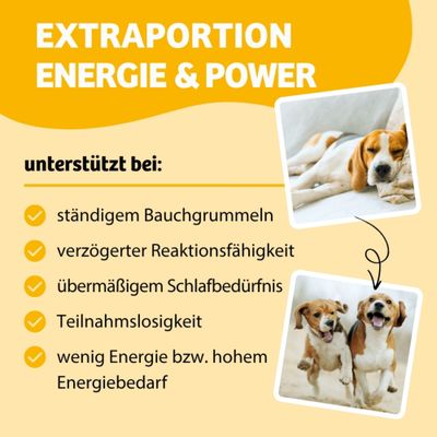 EXTRAPORTION ENERGIE & POWER, unterstützt bei: ständigem Bauchgrummeln, verzögerter Reaktionsfähigkeit, übermäßigem Schlafbedürfnis, Teilnahmslosigkeit, wenig Energie bzw. hohem Energiebedarf.