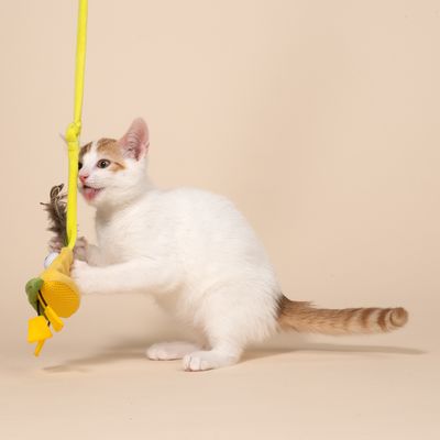 TIAKI spiralna zawieszka na drzwi Monster dla kotów