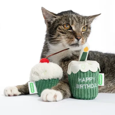 Cat with two green plush toys in cupcake shape, one with cherry and the other with candle and text 'Happy Birthday'. Zooplus logo visible on both toys.