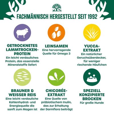 Fachmännisch hergestellt seit 1992. Getrocknetes Lammprotein, Leinsamen, Yucca-Extrakt, brauner & weißer Reis, Chicorée-Extrakt, speziell konzipierte Brocken für große Hunde.