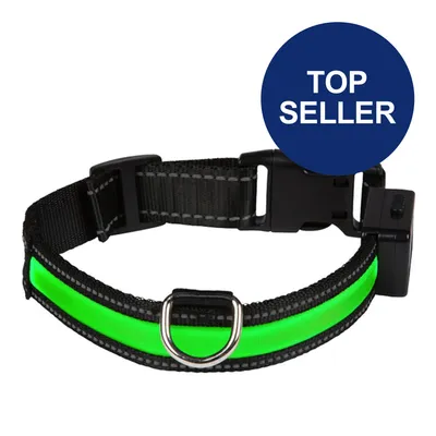 Schwarzes Halsband mit grünem Leuchtstreifen und Klickverschluss. Blauer Kreis mit Text 'Top Seller'.
