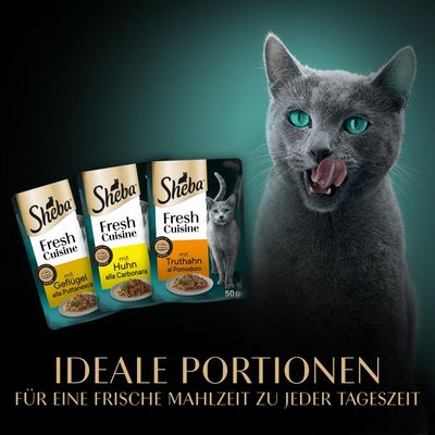 Sheba Fresh Cuisine s peradi alla Puttanesca, piletinom alla Carbonara i puretinom al Pomodoro. Idealne porcije za svježi obrok u bilo koje doba dana.