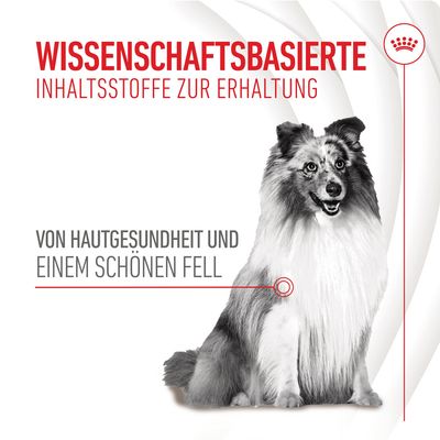 Wissenschaftsbasierte Inhaltsstoffe zur Erhaltung von Hautgesundheit und einem schönen Fell. Bild eines Hundes mit langem Fell.
