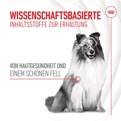 Texte en allemand : Wissenschaftsbasierte Inhaltsstoffe zur Erhaltung von Hautgesundheit und einem schönen Fell, image d’un chien à poil long, logo couronne rouge en haut à droite.