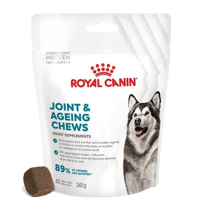 Royal Canin Joint & Ageing Chews, 60 pièces, 240 g. Contribue au confort articulaire et soutient un vieillissement en bonne santé. Avec moule verte de Nouvelle-Zélande, EPA et DHA.