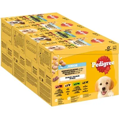 Pedigree Junior vershoudzakjes multipack - Voordeelpakket; 48 x 100 g Gemengde selectie in gelei (4 variëteiten)