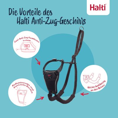 Die Vorteile des Halti Anti-Zug-Geschirrs: Zwei Anti-Zug-Funktionen in einem, reflektierendes und gepolstertes Brustteil, weicher Gurtüberzug an den Beinen.