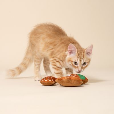 Red cat examines three brown gingerbread house-shaped toys on a light background.