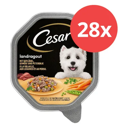 Cesar Landragout mit Geflügel, Gemüse und Petersilie. Packung zeigt 28x Portionen. Hergestellt mit natürlichen Zutaten.