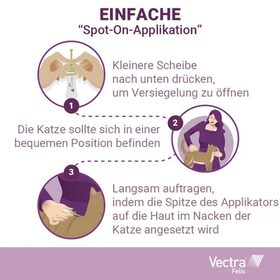 Anleitung zur Spot-On-Applikation: 1. Scheibe nach unten drücken, um Versiegelung zu öffnen. 2. Katze in bequemer Position halten. 3. Applikatorspitze langsam auf Nackenhaut auftragen.