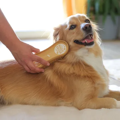 Ръка сресва козината на куче с четка Magic Brush. На четката се вижда надписът 'Magic Brush'.