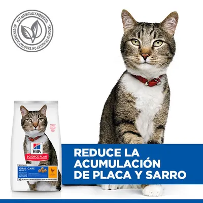 Hill's Science Plan Oral Care Adult 1+ con pollo - 1,5 kg