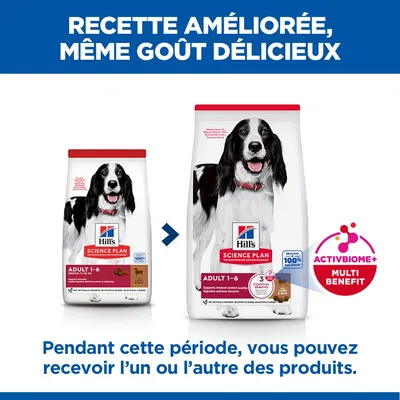 Hill's Science Plan Adult Medium Agneau, riz - 14 kg