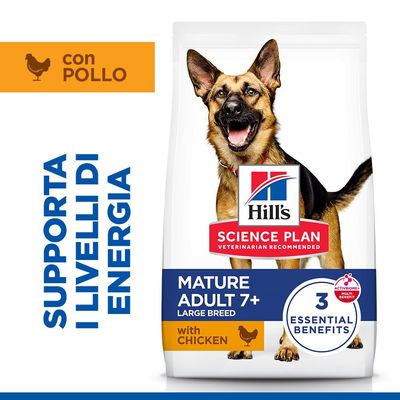 Hill's Science Plan Mature Adult 6+ Large con Pollo - 18 kg