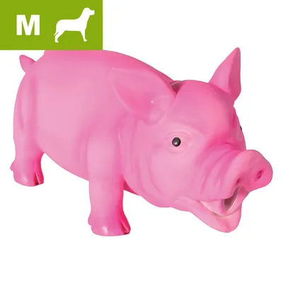 Lyserødt hundelegetøj formet som en gris, størrelse M vist med hvid hundesilhuet og bogstavet M i grøn hjørneboks. Materiale: plastik. Lyserødt hundelegetøj formet som en gris, størrelse M vist med hvid hundesilhuet og bogstavet M i grøn hjørneboks. Materiale: plastik.