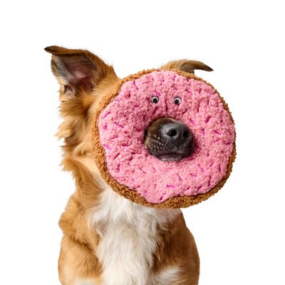 Chien tenant un jouet en forme de donut rose avec des yeux brodés autour du museau. Matière peluche visible, couleur marron et rose.