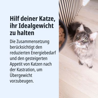 Hilf deiner Katze, ihr Idealgewicht zu halten. Zusammensetzung berücksichtigt reduzierten Energiebedarf und gesteigerten Appetit nach Kastration zur Vorbeugung von Übergewicht.