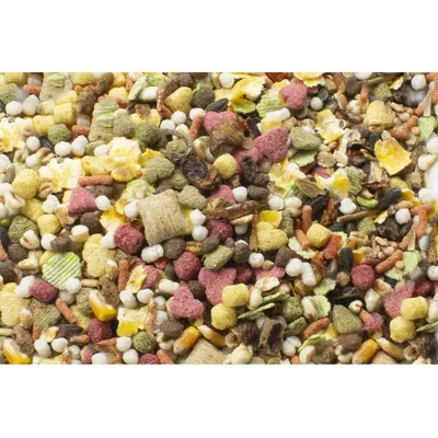 Mélange d’aliments pour petits animaux, composé de granulés multicolores, flocons, graines et morceaux variés visibles. Aucun emballage ou marque apparente. Mélange d’aliments pour petits animaux, composé de granulés multicolores, flocons, graines et morceaux variés visibles. Aucun emballage ou marque apparente.