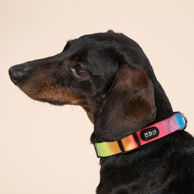 TIAKI obojok Rainbow