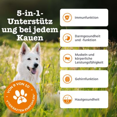Zesty Paws 5-in-1 Chews Truthahn