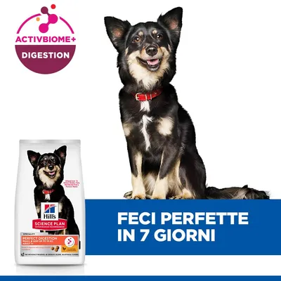Hill's Science Plan Perfect Digestion Adult 1+ Small & Mini con Pollo - 6 kg