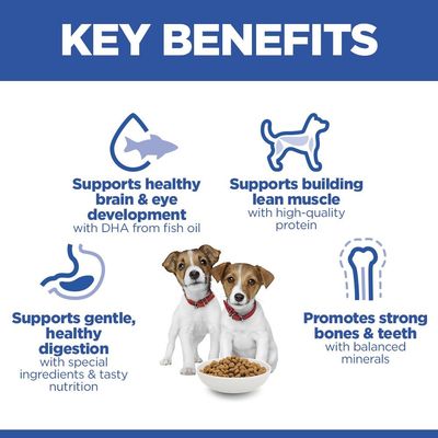 Hill's Science Plan Puppy <1 Small & Mini csirke - 2 x 6 kg
