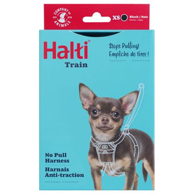 Pies w czarnych szelkach Halti i na smyczy. Szelki z wytrzymałego materiału, odpowiednie do kontrolowanego prowadzenia. Uwaga: obroża i smycz sprzedawane osobno.