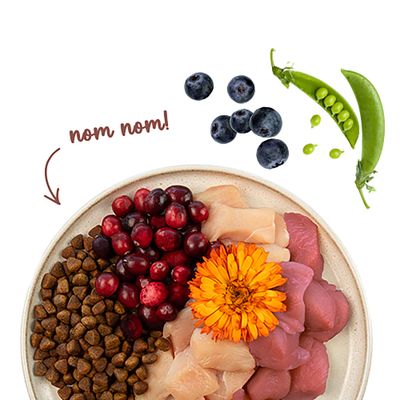 Schale mit Trockenfutter, rohem Fleisch, Preiselbeeren, Blüten, Blaubeeren und Erbsenschote. Text: nom nom!