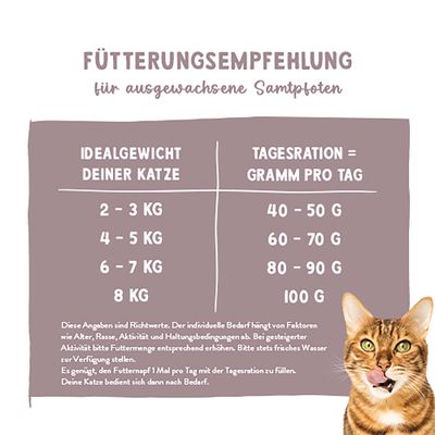 Fütterungsempfehlung für ausgewachsene Katzen: 2-3 kg 40-50g, 4-5 kg 60-70g, 6-7 kg 80-90g, 8 kg 100g pro Tag. Hinweise zur Anpassung je nach Aktivität und frisches Wasser bereitstellen.