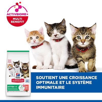 Hill's Science Plan Kitten <1 Saumon - 1,5 kg