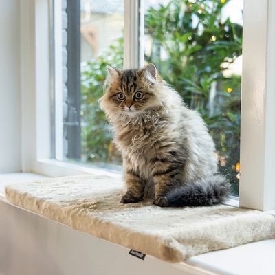 beeztees polštářek na okenní parapet Moza