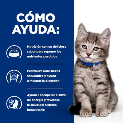 Hill's Prescription Diet i/d Digestive Care Kitten pollo en salsa - 48 x 85 g - Pack ahorro