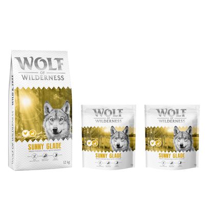 Wolf of Wilderness Logo. Hund springt über moosbedeckte Felsen in einem Wald.
