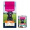Eukanuba Premium Nutrition Dry Dog Food + Eukanuba Wet Dog Food Free! * Junior Large & Giant Breed Chicken (15kg) + Puppy Rich in Beef with Pumpkin (3 x 400g)