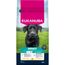 Eukanuba Premium Nutrition Adult Large & Giant Breed, kurczak 15 kg