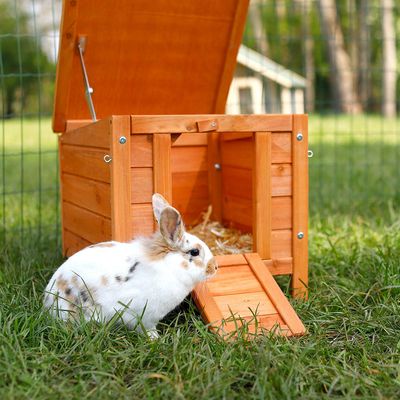 Lionto Katzen- und Kleintierhaus aus Holz
