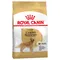 Royal Canin Golden Retriever Adult - dog dry food 12kg