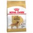 Royal Canin Golden Retriever Adult 12 kg
