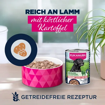 Eukanuba Senior Reich an Lamm mit Kartoffeln - Sparpaket: 12 x 400 g