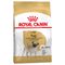 Royal Canin Pug Adult Πακέτο Προσφοράς: 2 x 3 kg