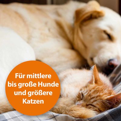 Ardap Grand Peigne anti-puces et poussière pour chien