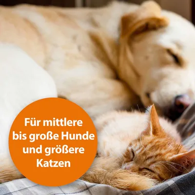 Ardap Grand Peigne anti-puces et poussière pour chien - 1 pièce