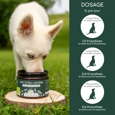 Recommandation de dosage : 1 fois par jour. Jusqu'à 10 kg, 1 à 2 friandises ; jusqu'à 25 kg, 2 à 4 friandises ; plus de 25 kg, 3 à 6 friandises. Friandise Peau & Fourrure de Wolfsbacher Natur.