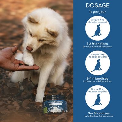 Recommandation de dosage : 1 fois par jour. Jusqu'à 10 kg de poids corporel, 1 à 2 friandises ; jusqu'à 25 kg, 2 à 4 friandises ; au-dessus de 25 kg, 3 à 6 friandises. Boîte de friandises Z-Schild illustrée.