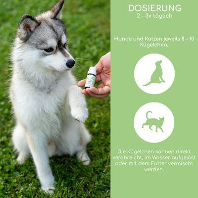 Wolfsbacher Natur Bachblüten - Einsamkeit (10 g)