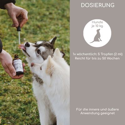 Wolfsbacher Natur Bio Schwarzkümmelöl - 100 ml