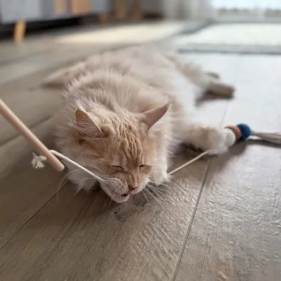 Aumüller Katzenspielangel Filoa Makramee - 1 Stück