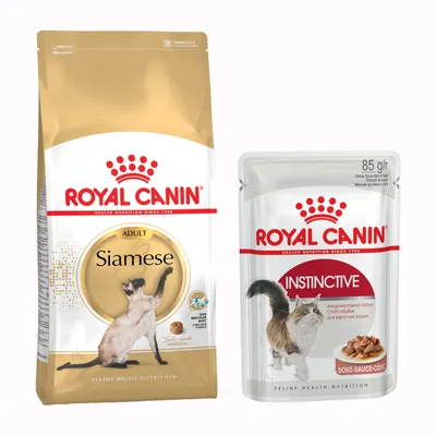 Zestaw Royal Canin Breed, 4 kg + 12 x 85 g karmy mokrej Royal Canin - Siamese Adult + Instinctive w sosie, 12 x 85 g