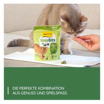 GimCat GrasBits