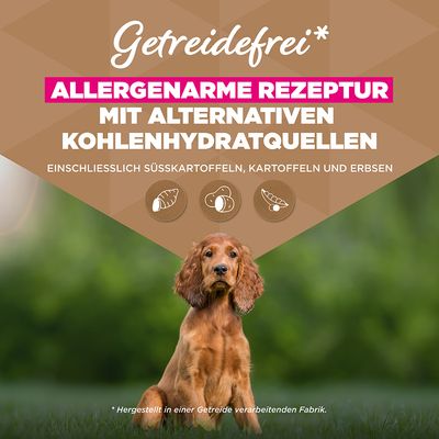 Eukanuba Grain Free Puppy Small & Medium Breed Seefisch - 12 kg